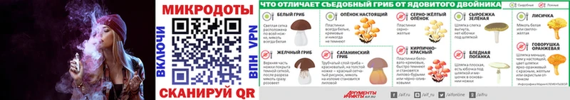 Псилоцибиновые грибы Cubensis  сколько стоит  blacksprut ссылка  Крымск 